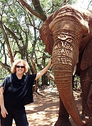 Phyllis with an elephant